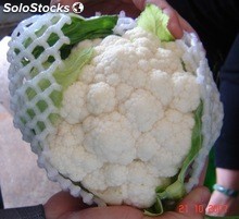 coliflor fresca