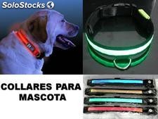 Collar y correas para mascotas con luz