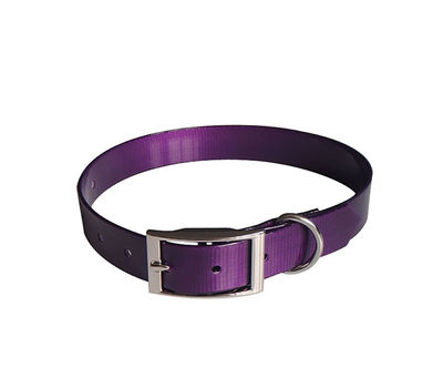 Collier pour chien - Ajustable avec boucle - 260-385 mm, violet