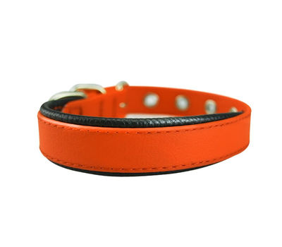 Collier pour chien - Ajustable avec boucle - 525-605 mm, orange - Photo 2