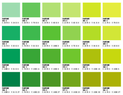 Colore Verde Concentrato Masterbatch - Foto 4