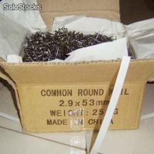 Common iron wire nails