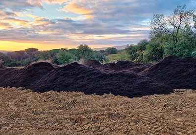 Compost Ecológico a granel - Foto 2
