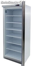 Congelador vertical inox ACCH-600I