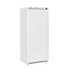 Congelador vertical profesional 600l bajo consumo eléctrico cn 6
