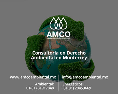 Consultoría en Derecho Ambiental en Monterrey - Foto 3