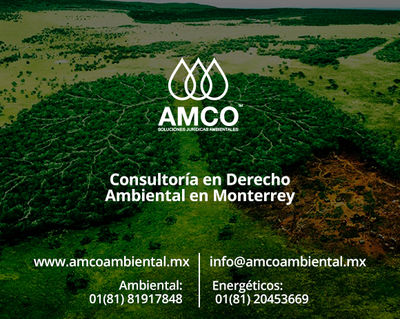 Consultoría en Derecho Ambiental en Monterrey - Foto 4