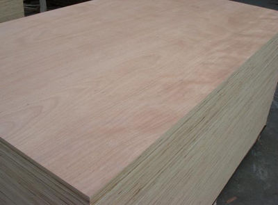 core plb plywood ,competitive price/ bintangor good quality in china - Foto 2