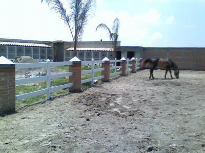 Corral para caballos - Foto 3