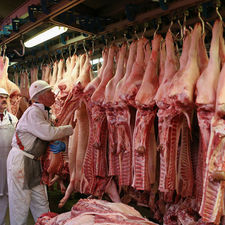 Costillas de cerdo congeladas, orejas de cerdo, paletas de cerdo y estómago