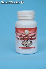 Costus indien 500mg 40 gélules