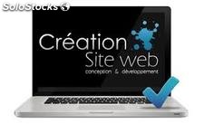 Creation de site web professionnel ref 279100807460