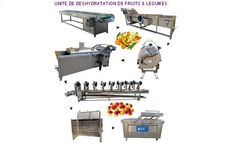 Créez une unité de déshydratation de fruits &amp; légumes - REF.2