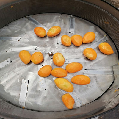 Créez une unité de production de chips de mangues séchées - Photo 3