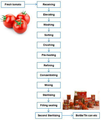 Créez une unité de production de concentré de tomate et de ketchup à fort volume - Photo 2
