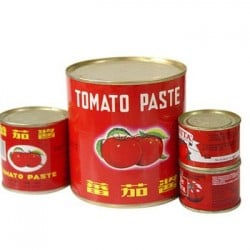 Créez une unité de production de concentré de tomate et de ketchup à fort volume - Photo 4