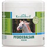 Crema Krauterhof 250ml balsamo de caballo para el dolor muscular