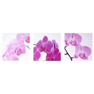 Cuadro 3 piezas orquideas rosas, 50x150 cm