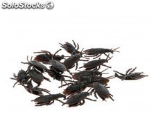 Cucarachas 18