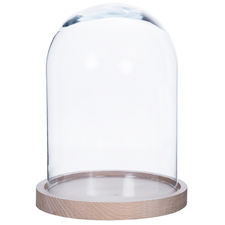 Cupule - Campana in vetro 23x31 cm.