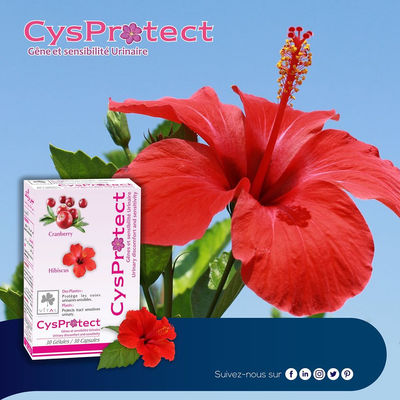 Cysprotect (Confort urinaire) 30 gélules