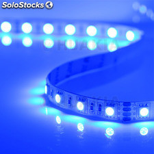 DC24V led Tira 60LED/m