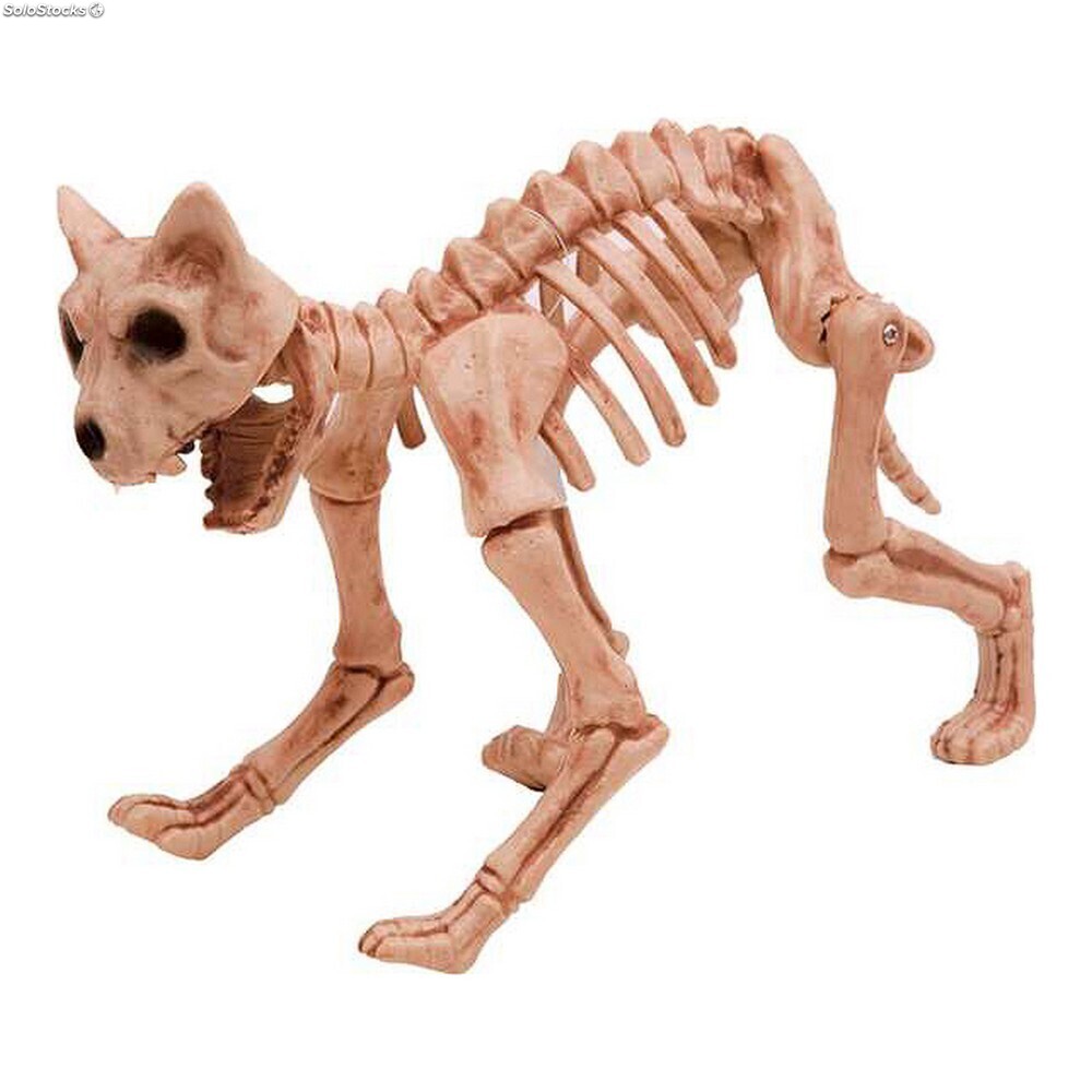 Включи скелет 3. Скелет кошки. Скелет домашней кошки. Скелет с котиком. Скелет кошки и собаки.
