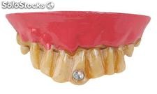 Denture or rigid teeth with diamond