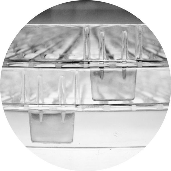 Deshidratador de alimentos giratorio con 5 bandejas Terra 500 W - Lacor
