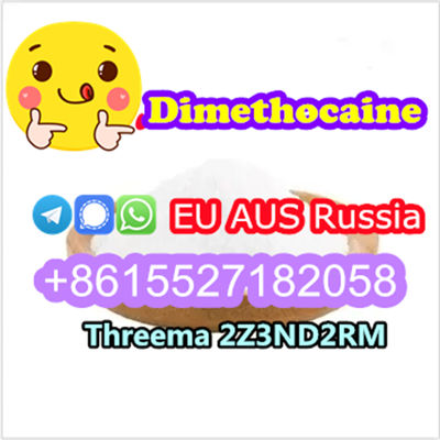 Dimethocaine dmc powder CAS 94-15-5 - Photo 3