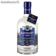 Distillats gins - Gin Haymans 1820 70 cl
