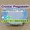 Door to Door deliver to Russia Pregabalin Crystal Powder - Photo 3