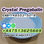 Door to Door deliver to Russia Pregabalin Crystal Powder - Photo 4