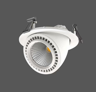Downlight LED empotrable RS-1009 50w