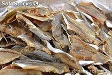 Dried Salted Stockfish