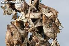 Dried Salted Stockfish Head