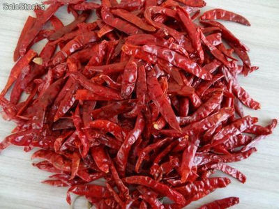 Dry red chillies from india