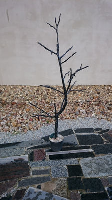 Drzewko Led - Zdjęcie 3