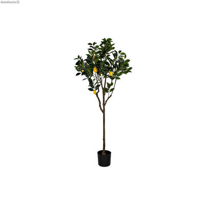 Drzewo DKD Home Decor Drzewko cytrynowe Poliester (74 x 74 x 150 cm)