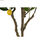 Drzewo DKD Home Decor Drzewko cytrynowe Poliester (74 x 74 x 150 cm) - 4