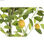 Drzewo DKD Home Decor Drzewko cytrynowe Poliester polipropylen (90 x 90 x 180 cm - 4