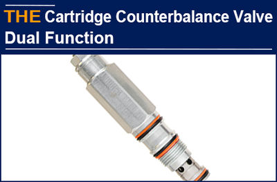Dual function Hydraulic Cartridge Counterbalance valve, AAK replaced the Greek m