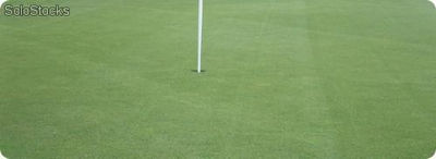 Dünger für Golf und Sportplatzanlagen - Granulat Compounder