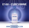 E100 - curcumine