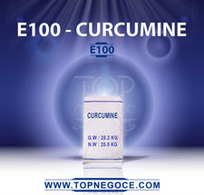 E100 - curcumine