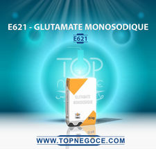 E621 - glutamate monosodique