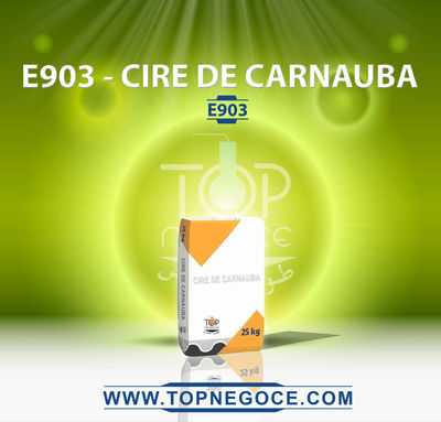 E903 - cire de carnauba