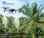 Eavision Thor Fumigación con Drone 20L RTK Agricultura Cultivadores Vegetal - 1