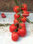 El Arrojado. Tomate Saladette Indeterminado. 5 Mil Semillas. - Foto 2