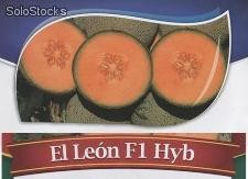 El León. Melón Cantaloupe Geneseeds. 15 Mil Semillas.